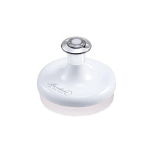 Load image into Gallery viewer, Pore Clear Brush 1pc